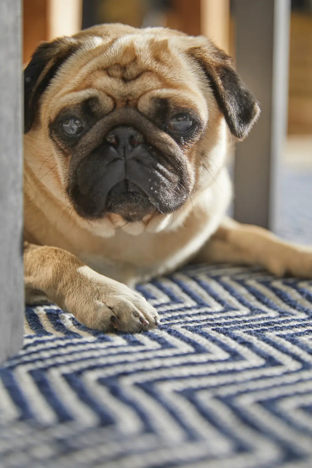 Herringbone Rug Navy - view 2